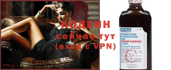 хмурый Белокуриха