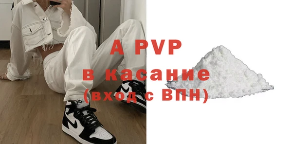 хмурый Белокуриха
