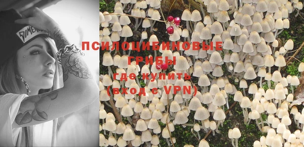 хмурый Белокуриха