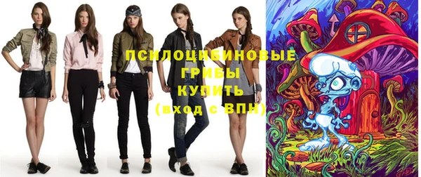 дживик Белоозёрский