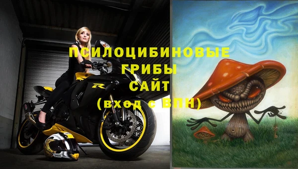 хмурый Белокуриха