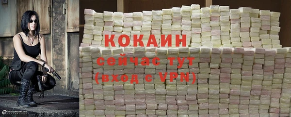 дживик Белоозёрский