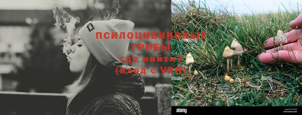 хмурый Белокуриха