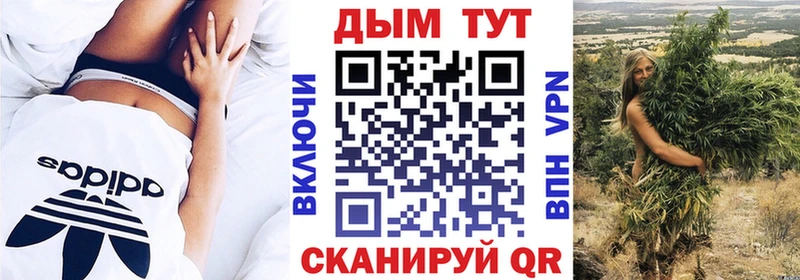 Конопля ГИДРОПОН  купить наркотики сайты  Горняк 